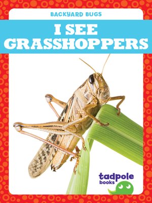 cover image of I See Grasshoppers